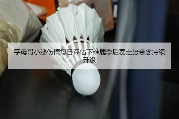 zi-mu-ge-xiao-tui-shang-qing-mei-ri-ping-gu-xia-xiong-lu-ji-hou-sai-zou-shi-xuan-nian-chi-xu-sheng-ji-2-915.jpg