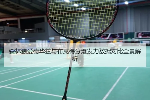 森林狼爱德华兹与布克得分爆发力数据对比全景解析